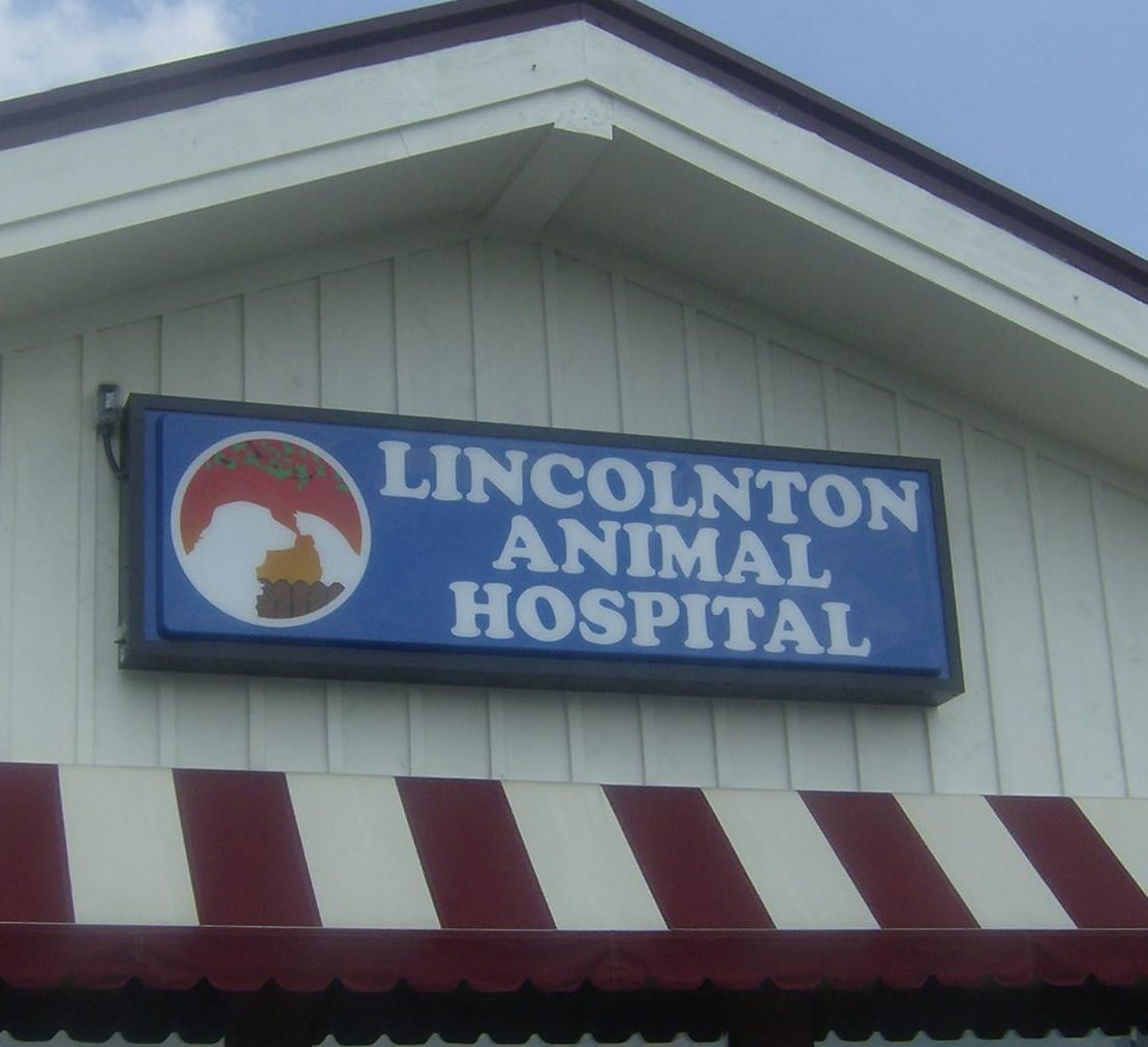 Animal Hospital in Lincolnton, NC | Veterinarians in Lincolnton, NC